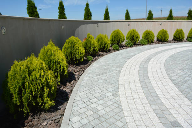 Best Decorative Driveway Pavers  in Ahoskie, NC